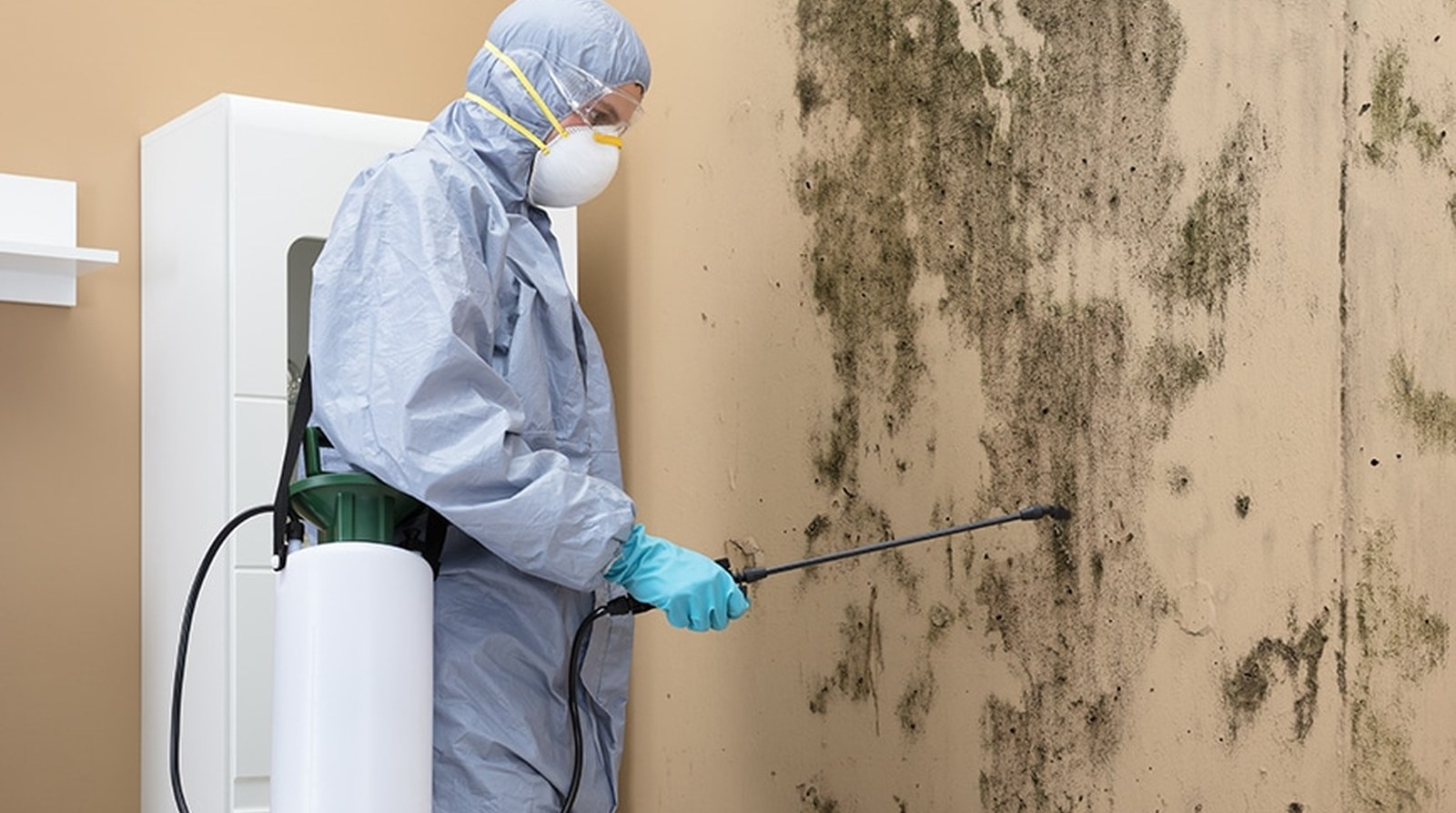 Technician in protective gear treating mold on an interior wall during remediation