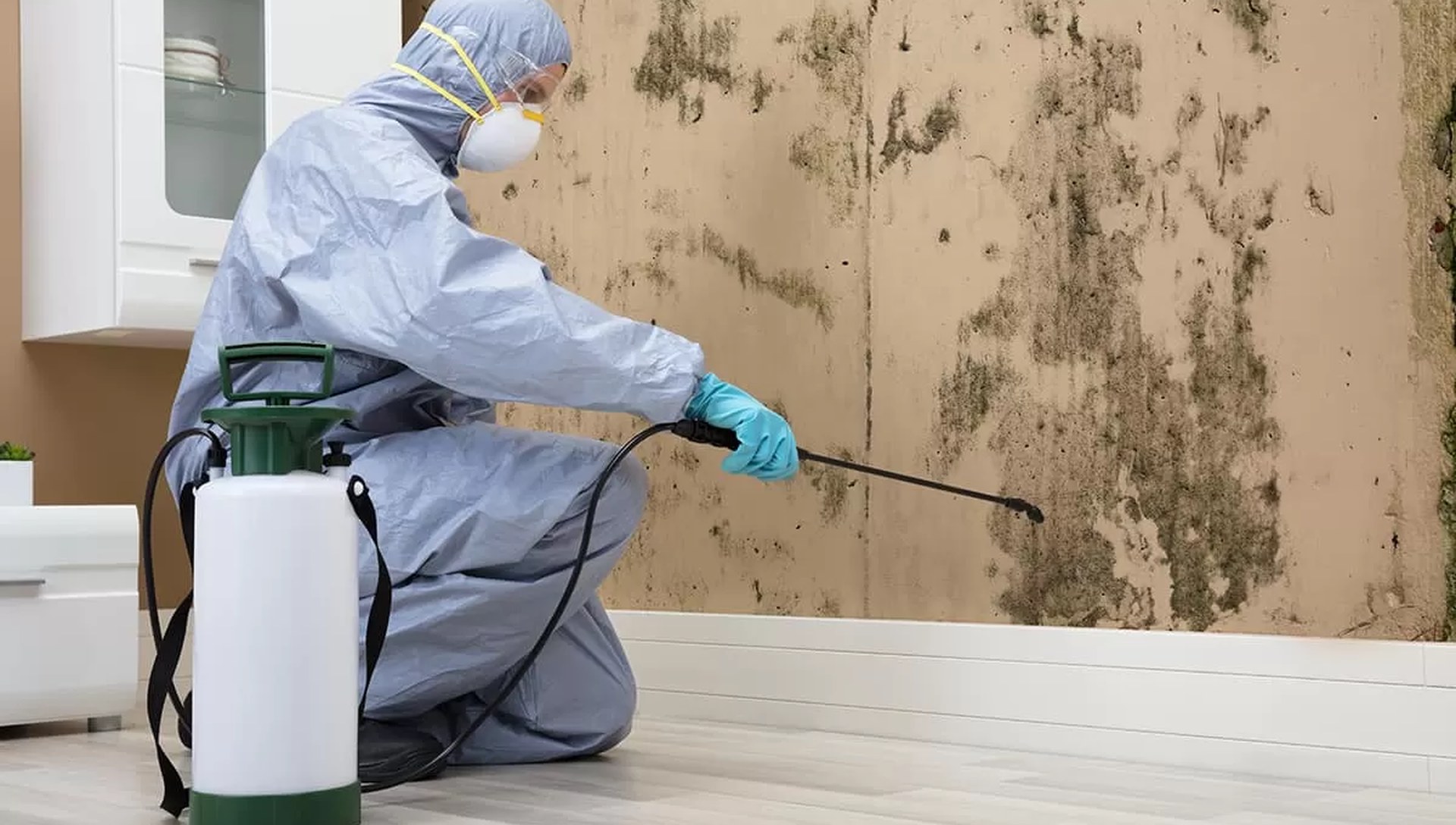 Mold remediation technician treating a mold-affected interior wall