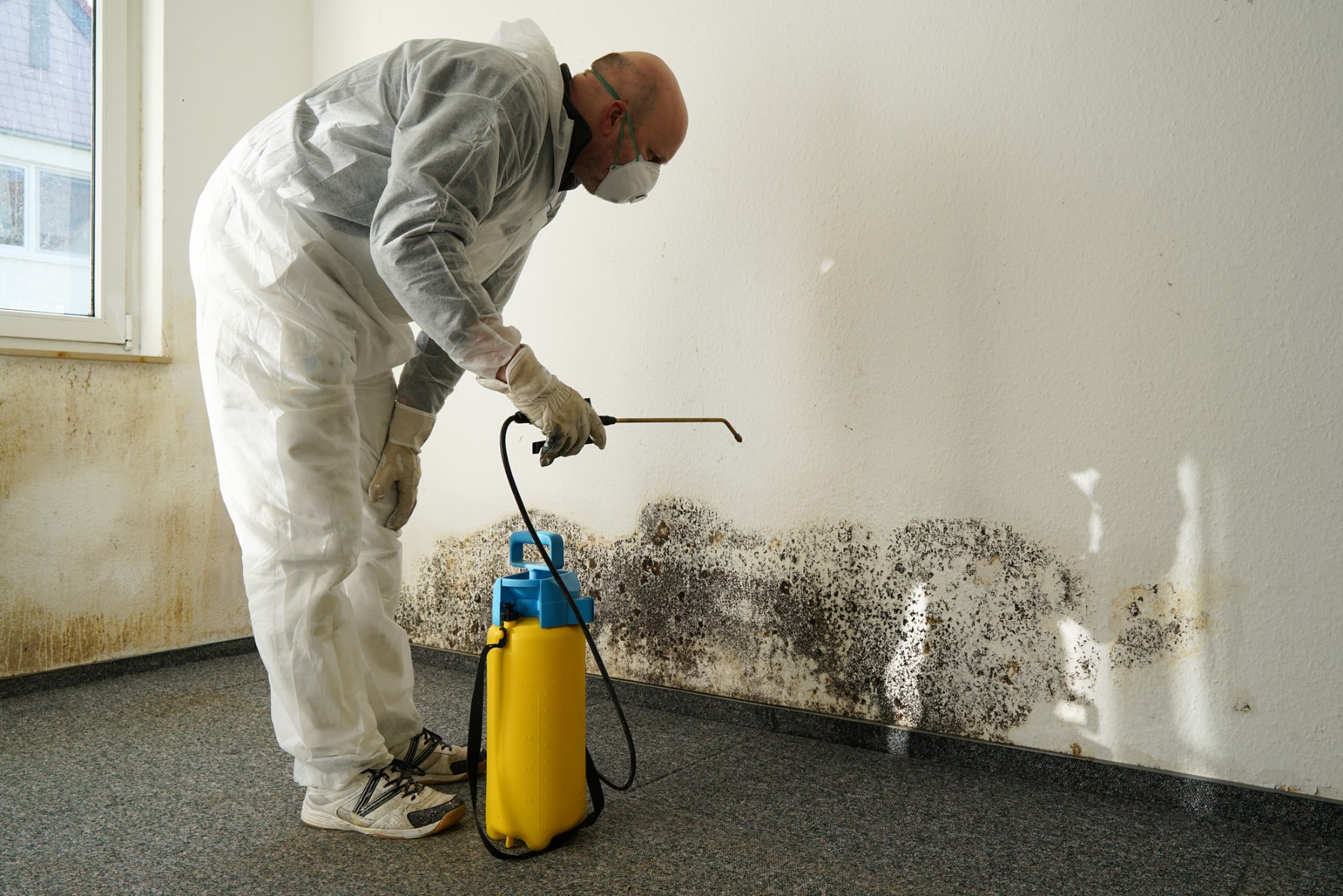 Drying equipment used after mold-related water intrusion