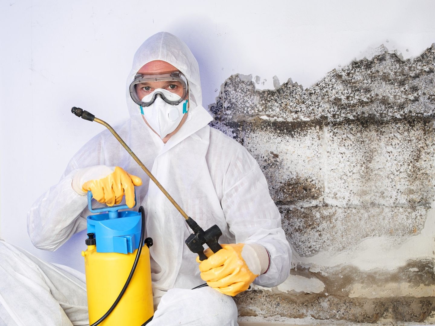 Rebuild and refinishing following mold remediation