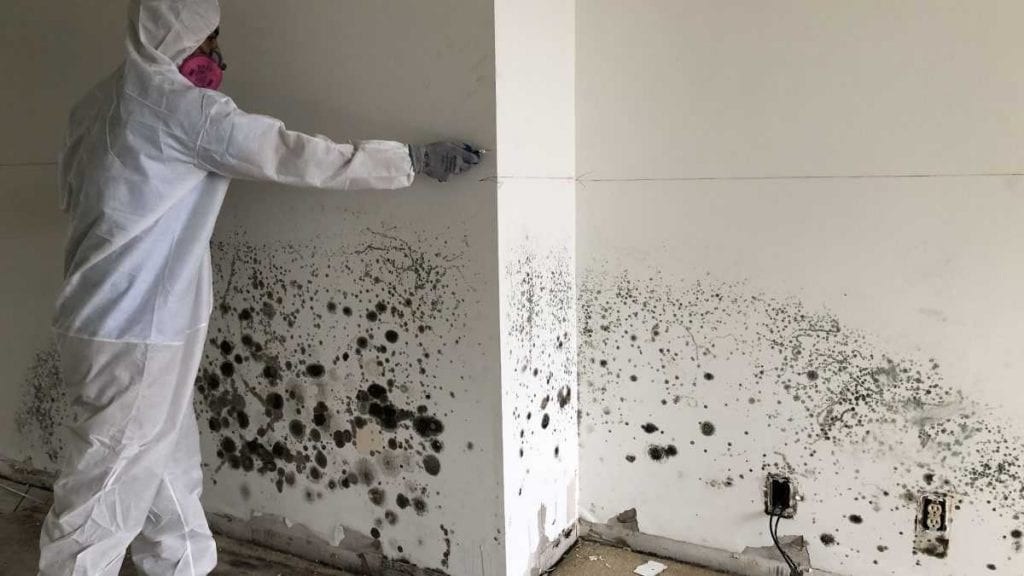 Contained mold remediation in a residential basement