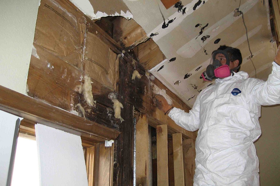 Air movers and dehumidifiers drying a flooded living room